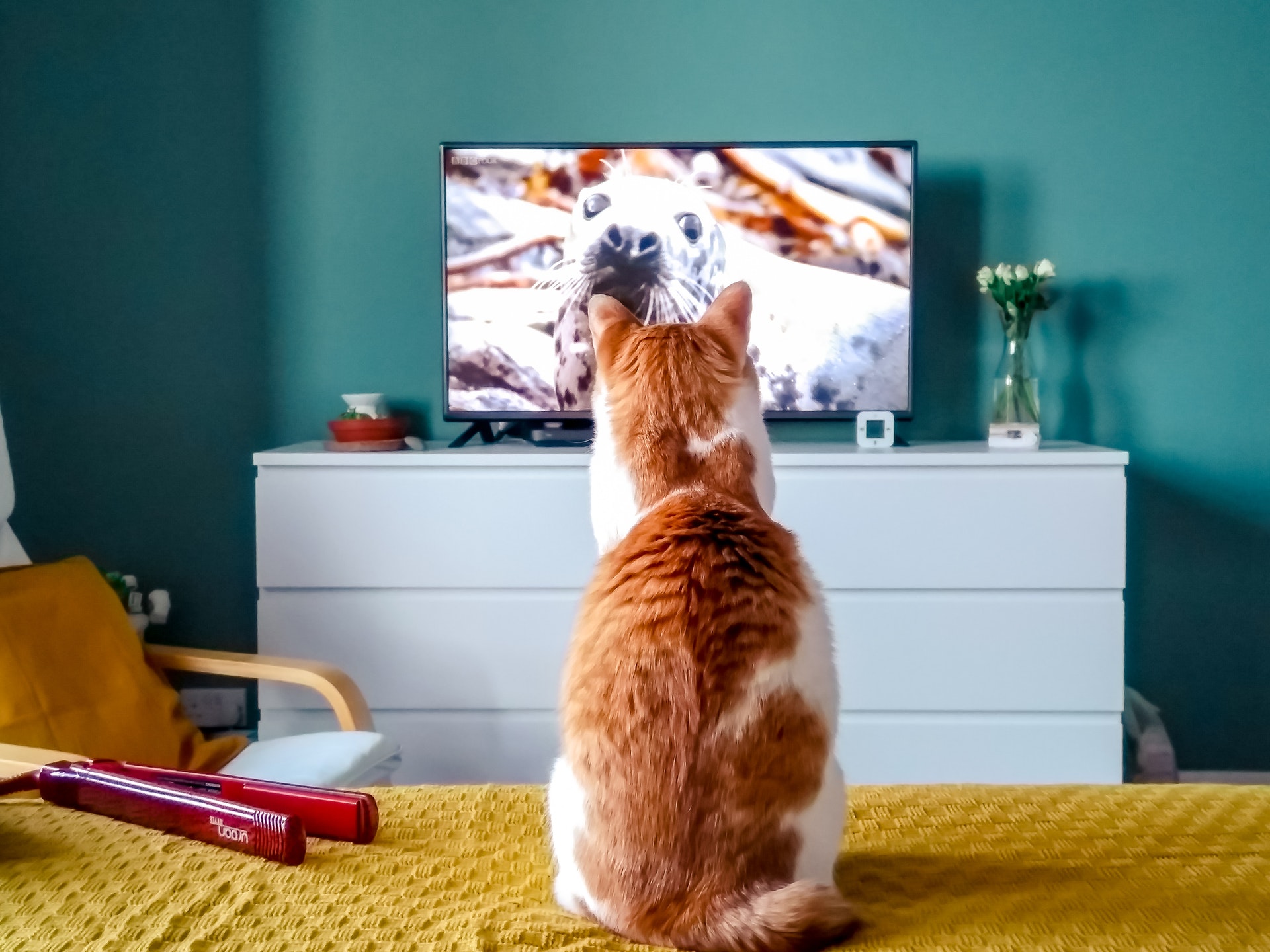 How Satellite TV Works