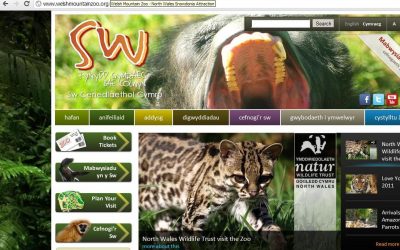 Welsh Zoo gets the Full Web Treatment