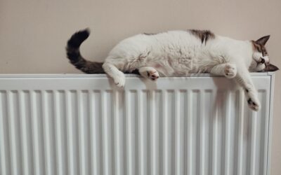 How long will my tank of heating oil last?
