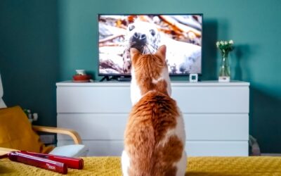 How Satellite TV Works